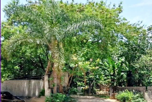 Terreno à venda, 1450 m² — foto 6