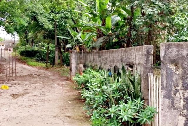 Terreno à venda, 1450 m² — foto 7