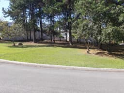 Lote - Venda - Barueri - SP - Alphaville Residencial Zero