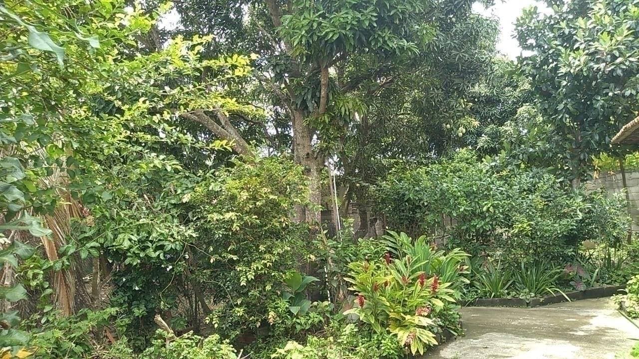 Casa + Anexo no Condomínio Aldeia Verde — foto 2