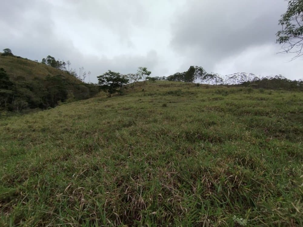 Chácara - Lagoinha, SP no bairro Macuco — foto 4