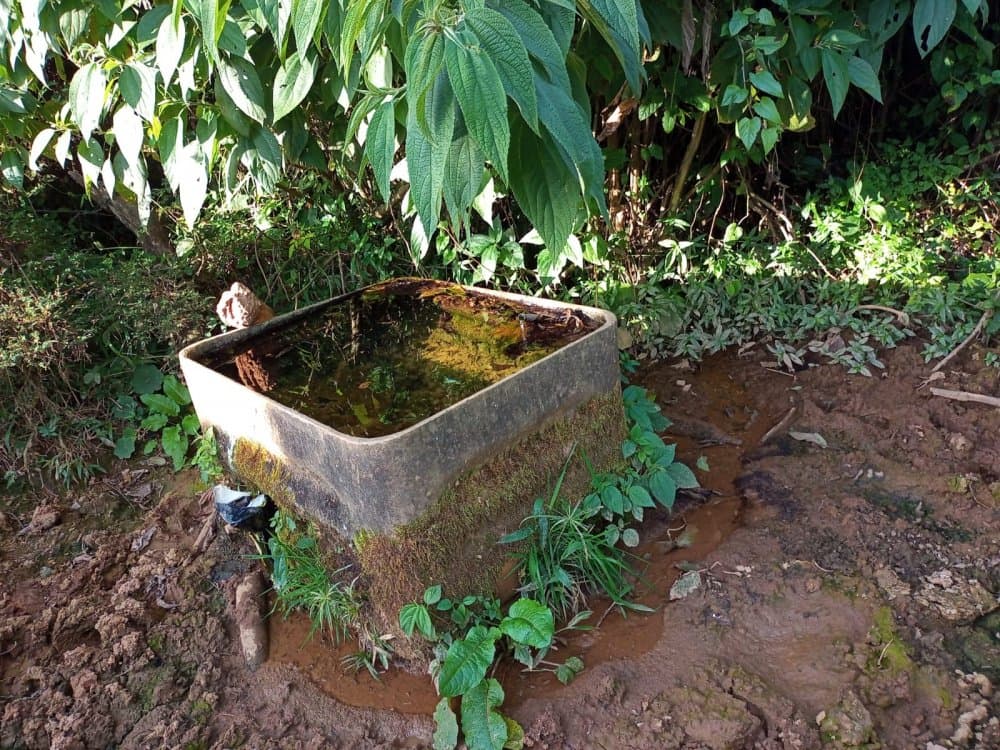 Sítio - Maria da Fé, MG no bairro . — foto 3