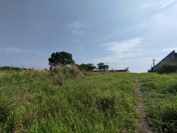 Área - Pindamonhangaba, SP no bairro /