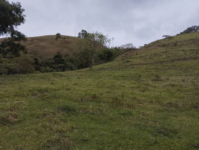 Chácara - Lagoinha, SP no bairro Macuco