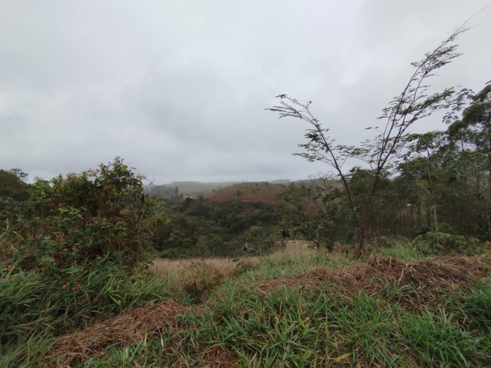 Sítio - Pindamonhangaba, SP no bairro Pinga — foto 4