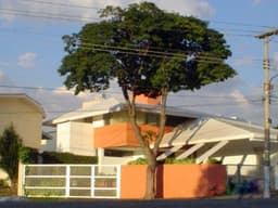 Venda Aluguel Casa Padrão Jardim da Saúde São Paulo SP 3 dorms 2 suítes - Roman Ramos Imóveis