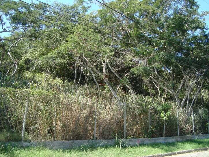 Excelente terreno para investimento Búzios — foto 3