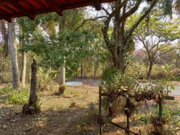 Amplo terreno com arvores frutíferas