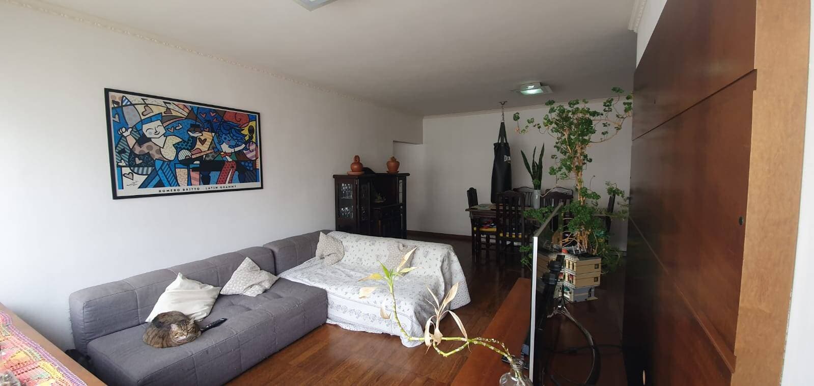 Apartamento em São Paulo !!! — foto 2