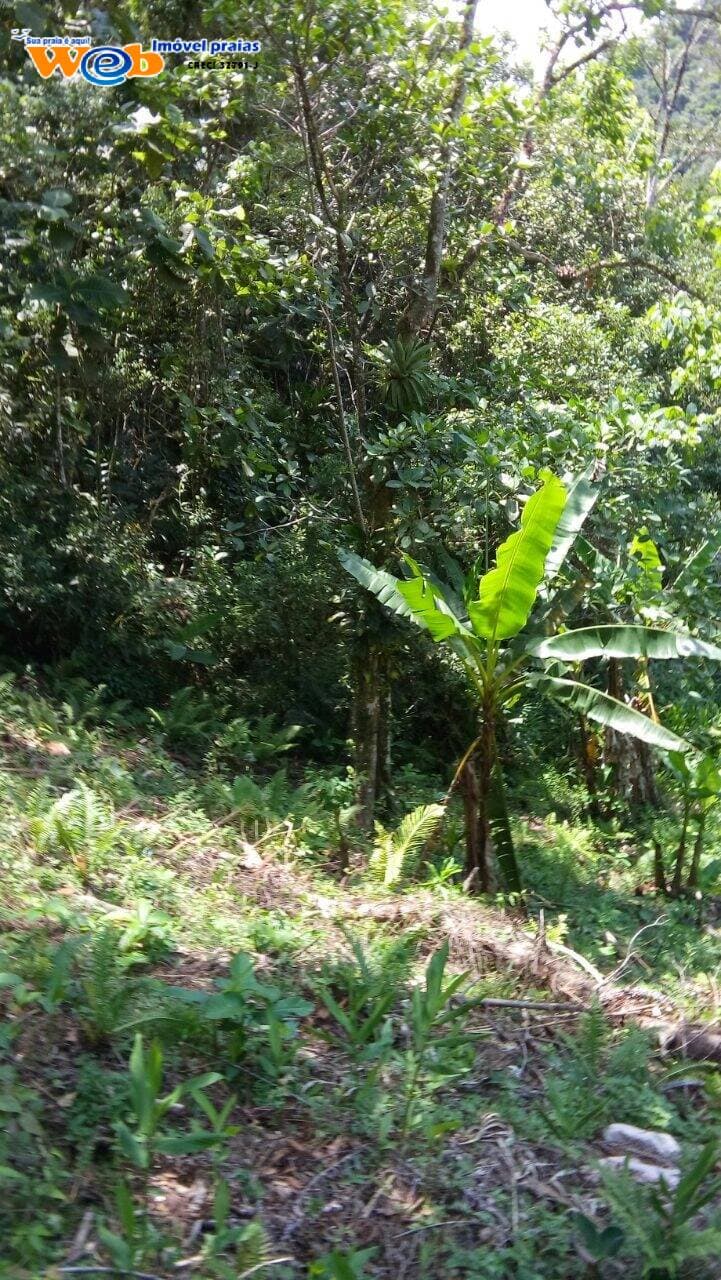 Lindo sitio em peruibe com 96.000 m² — foto 3
